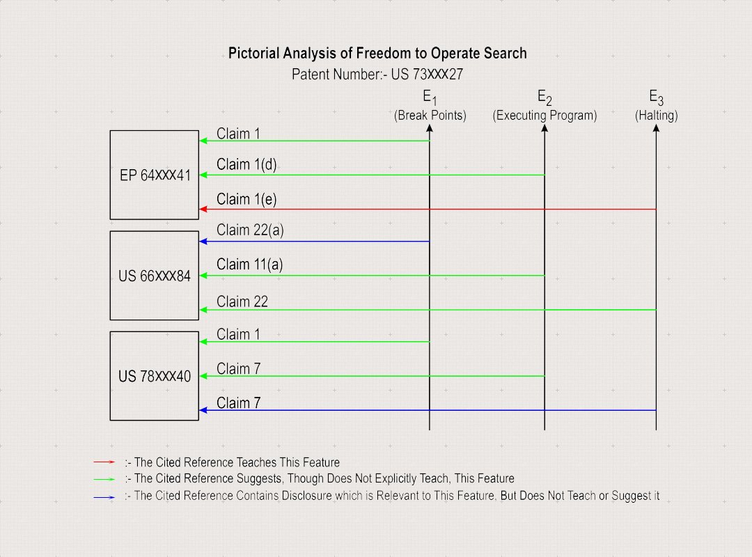 Software Programming - Freedom to Operate (Sample Report)